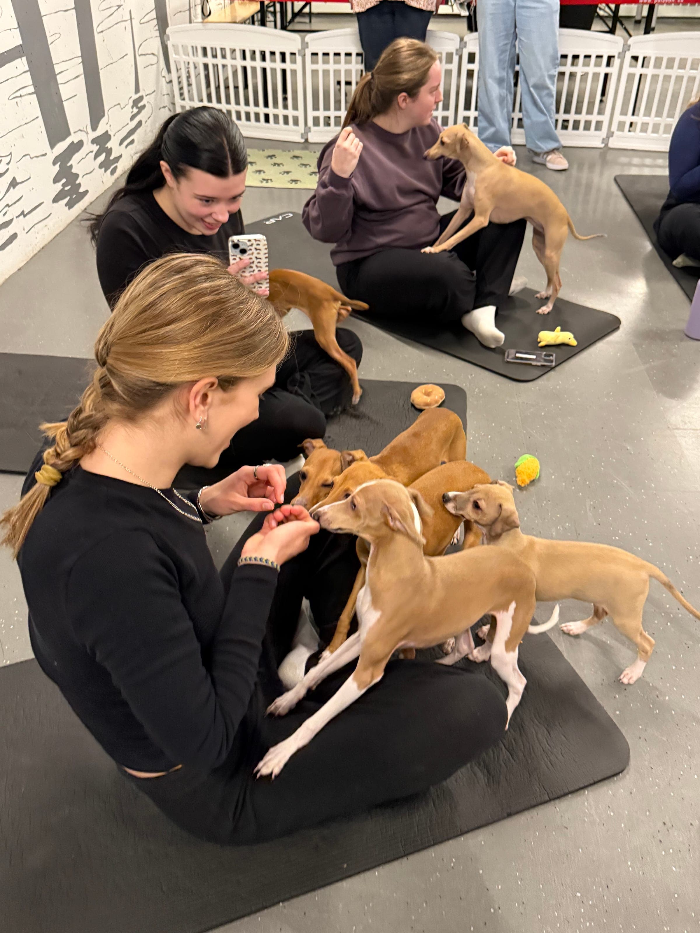 Residents participating in ALMA South End puppy yoga event