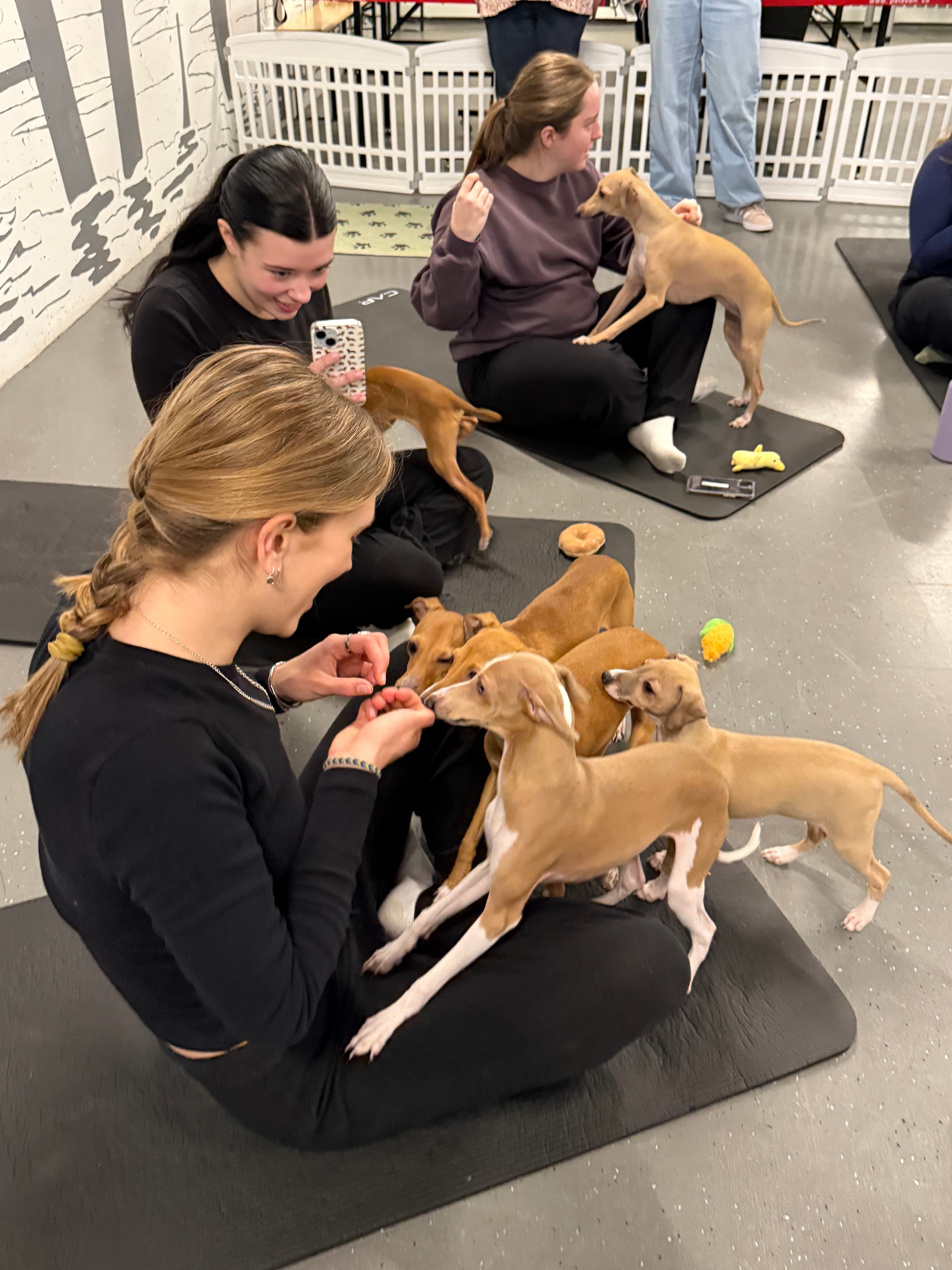 Residents participating in ALMA South End puppy yoga event