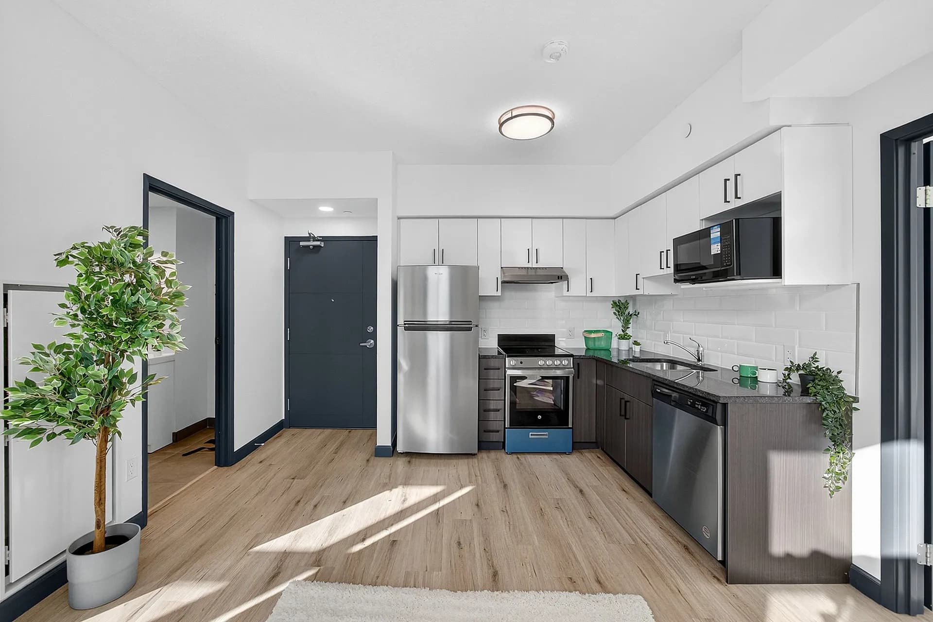 Modern kitchen with stainless steel appliances